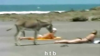 خوبصورت سنہرے بالوں  ...